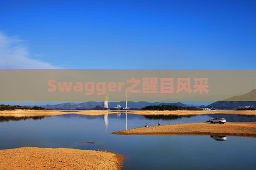 Swagger之醒目风采